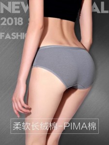 U1001純棉內褲 (美國pimacotton棉) S-L / 6色選/100元6條組合價 