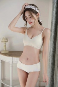 S1178 細肩帶美背光面內衣/3扣/5色/M-XL