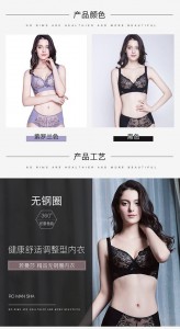 8913 石墨烯面料 [4扣]70C-E,75B-95F [清貨]